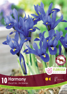Iris nain ‘Harmony’ ( Iris reticulata ) : des petits iris bleus portant une marque jaune. Le visuel Florissa présente la plante et son nom dans la partie inférieure de l’étiquette. La photographie occupe presque toute la surface, tandis que le bandeau du bas rassemble les indications du produit. Cette vue permet de reconnaître son apparence et de distinguer la variété présentée.