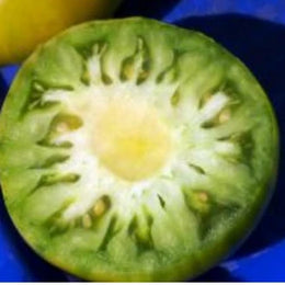 Tomate 'Malachite Box' bio
