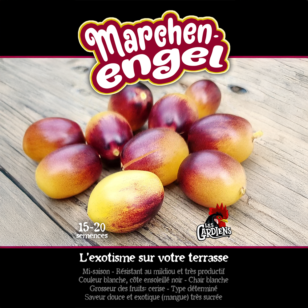 Märchenengel tomato (<em>Solanum lycopersicum</em> ‘Märchenengel’)