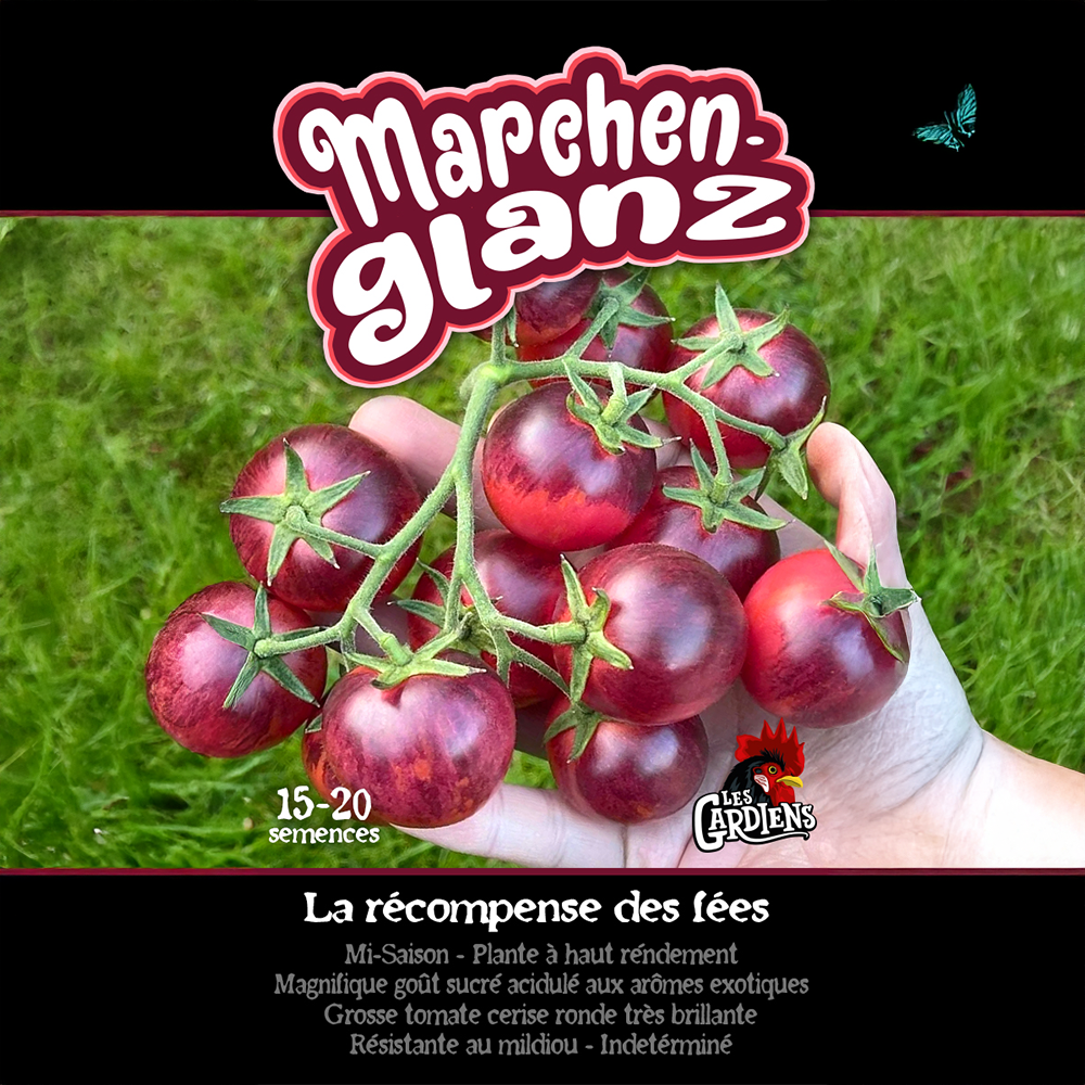 Märchenglanz tomato (<em>Solanum lycopersicum</em> ‘Märchenglanz’)