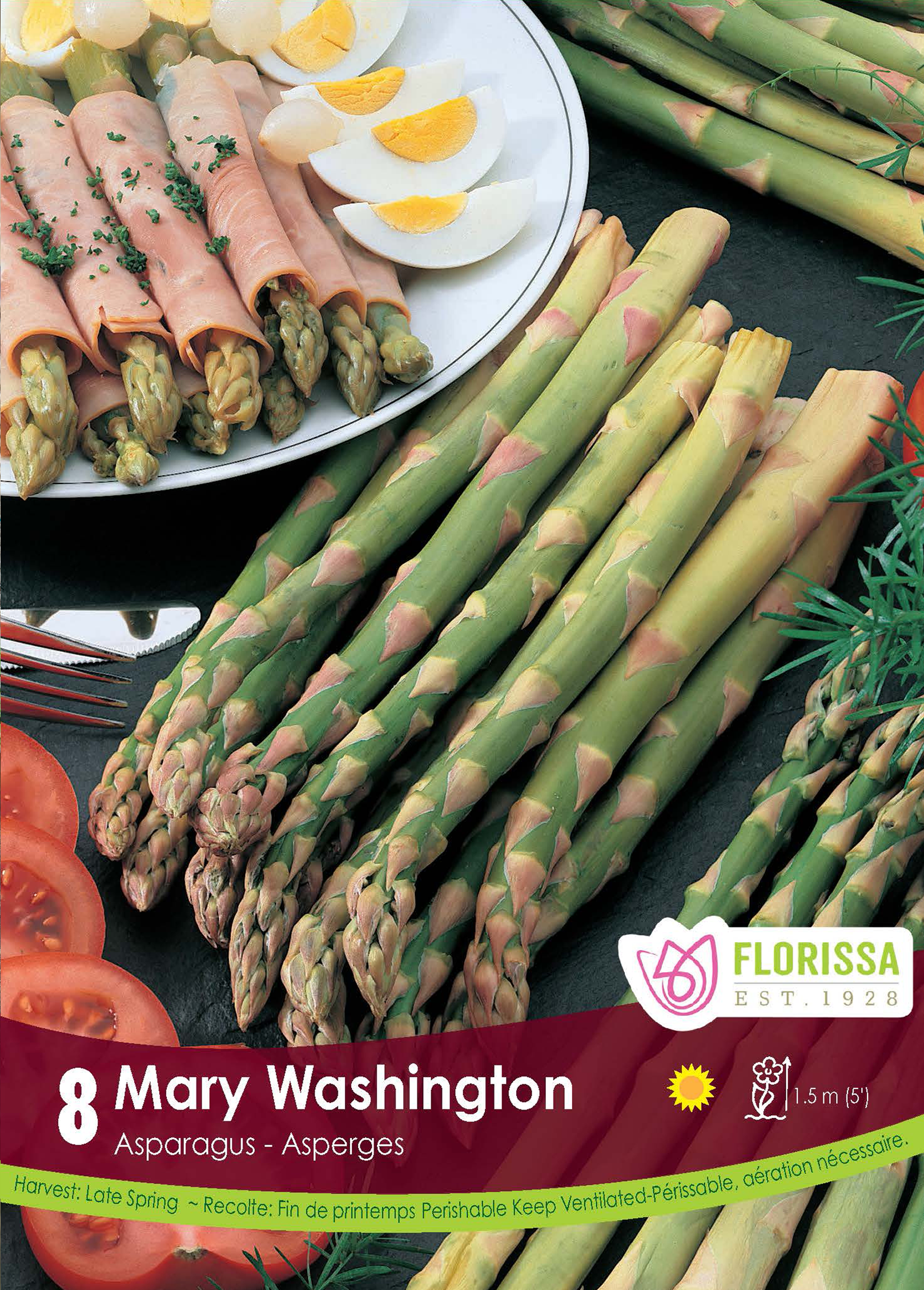 Asperge ‘Mary Washington’ 'Mary Washington' (<em>Asparagus officinalis</em>)