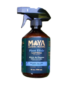 Huile de Neem prêt à utiliser Plant Elixir — photo sur fond blanc