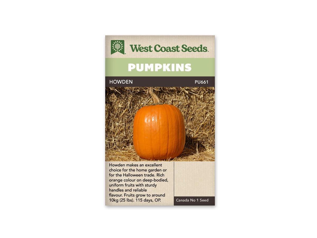 Sachet Howden de West Coast Seeds avec une bande vert pâle et le nom sur fond sombre. La photo montre une citrouille orange dressée sur de la paille, devant une botte de paille. Le fruit est haut, à côtes verticales peu marquées, avec un pédoncule incliné. Une zone beige avec du texte se trouve sous la photo.
