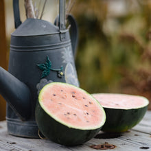 Melon deau Blacktail Mountain. Pastèque coupée à chair rose près d’un arrosoir sombre. Le cadrage permet de voir les formes, les couleurs et les détails du sujet représenté. Les contours se détachent du fond de l’image, avec des différences de teinte et de texture visibles sur les surfaces. Cette vue accompagne la présentation du produit dans la boutique.