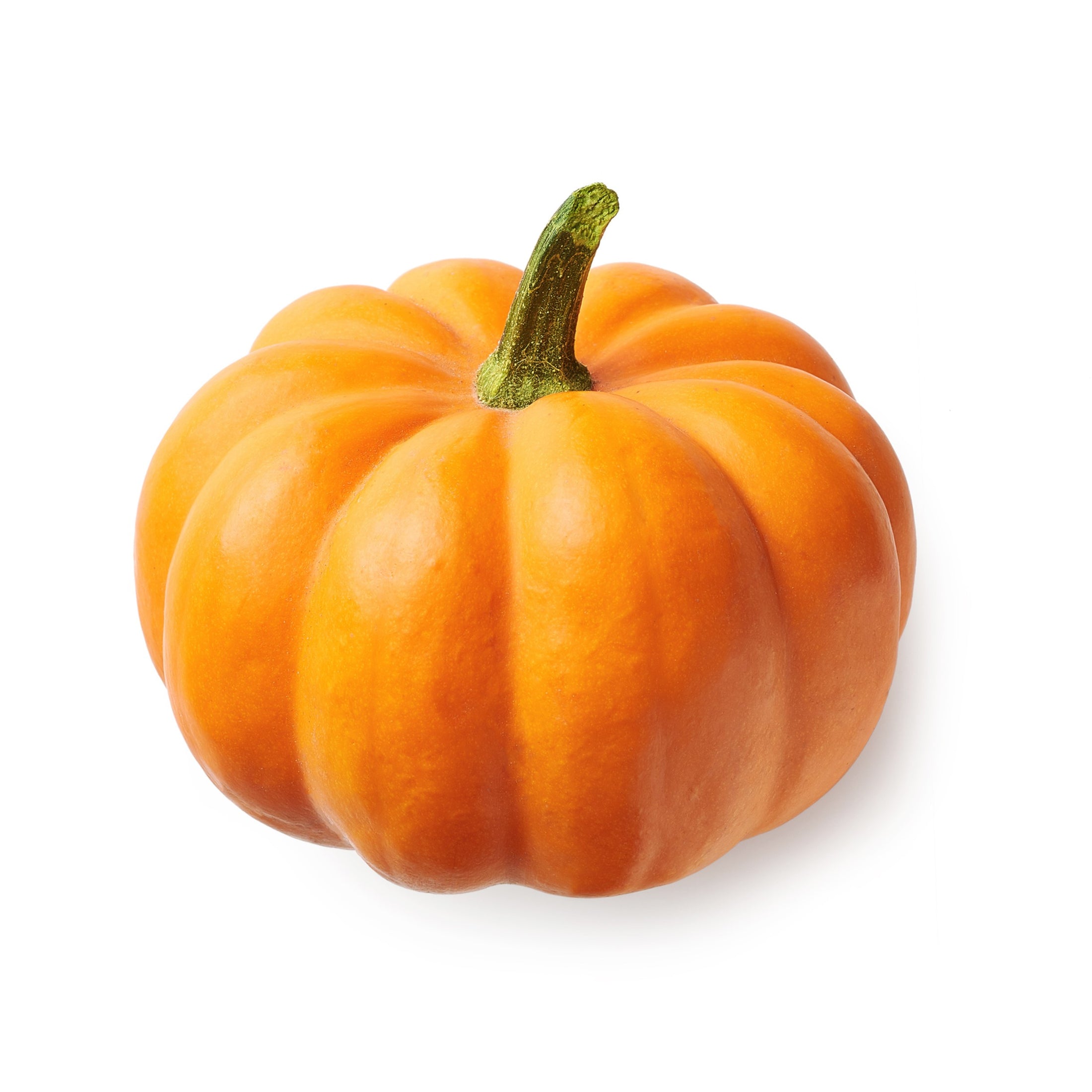 Pumpkin Orangita F1