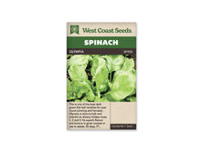 Sachet West Coast Seeds Olympia illustré de feuilles d’épinard vertes vues de près. Les grandes feuilles ovales se chevauchent autour de cœurs plus serrés, avec des nervures et quelques ondulations visibles. Un peu de terre apparaît entre les plants. Le nom Olympia figure dans le bandeau brun sous le grand titre Spinach.