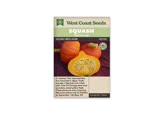 Sachet beige de semences Uchiki Red Kuri avec bandeau vert pâle et mention biologique. Deux courges entières rouge orangé se trouvent derrière un fruit ouvert. La coupe laisse voir une épaisse chair jaune et une cavité centrale contenant des graines beige brun. L'ensemble repose sur un tissu bourgogne, sous le nom imprimé dans un bandeau brun.