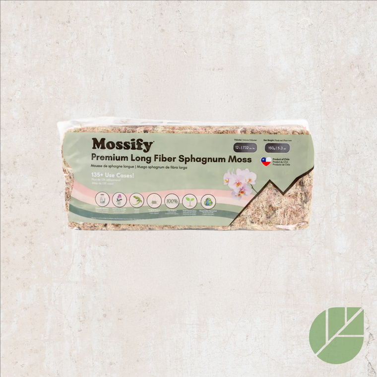 Mousse de sphaigne Mossify