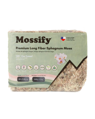 Mousse de sphaigne Mossify — photo sur fond blanc