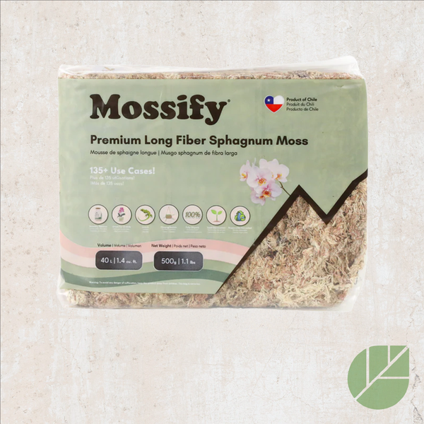 Mossify sphagnum moss