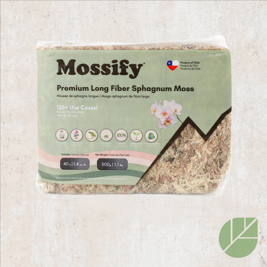 Mousse de sphaigne Mossify