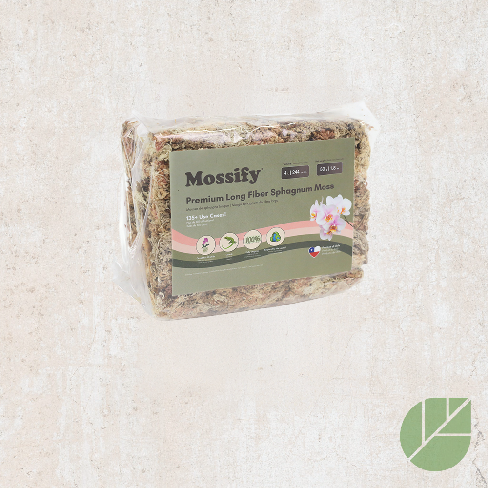 Mossify sphagnum moss