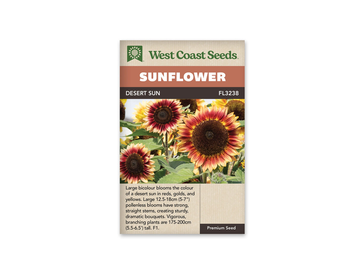 Sachet beige de semences Desert Sun avec bandeau terre cuite et nom sur fond brun. Plusieurs tournesols présentent des pétales rouge bourgogne à la base et jaune doré aux pointes. Leurs grands centres sont brun foncé. Une fleur nette domine à droite, devant des tiges, des feuilles vertes et d'autres fleurs jaunes partiellement visibles.