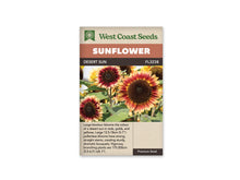 Sachet beige de semences Desert Sun avec bandeau terre cuite et nom sur fond brun. Plusieurs tournesols présentent des pétales rouge bourgogne à la base et jaune doré aux pointes. Leurs grands centres sont brun foncé. Une fleur nette domine à droite, devant des tiges, des feuilles vertes et d'autres fleurs jaunes partiellement visibles.