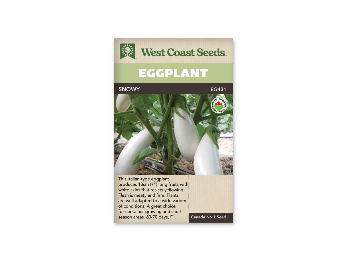 Sachet Snowy de West Coast Seeds, avec une bande vert pâle et le nom sur fond sombre. La photo montre plusieurs aubergines blanches et allongées, encore sur le plant parmi des tiges et des feuilles vertes. Un logo biologique apparaît à droite. Le bas du sachet porte du texte imprimé sur fond beige.
