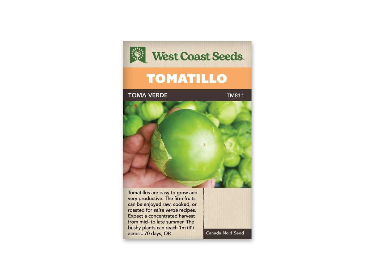 Sachet West Coast Seeds portant la mention Tomatillo sur un bandeau orange et le nom Toma Verde. Une main tient un gros fruit vert, rond et lisse, dont l’enveloppe est ouverte sur le côté. D’autres fruits et des feuilles vertes remplissent l’arrière-plan. Le code TM811 figure près du nom de la variété.
