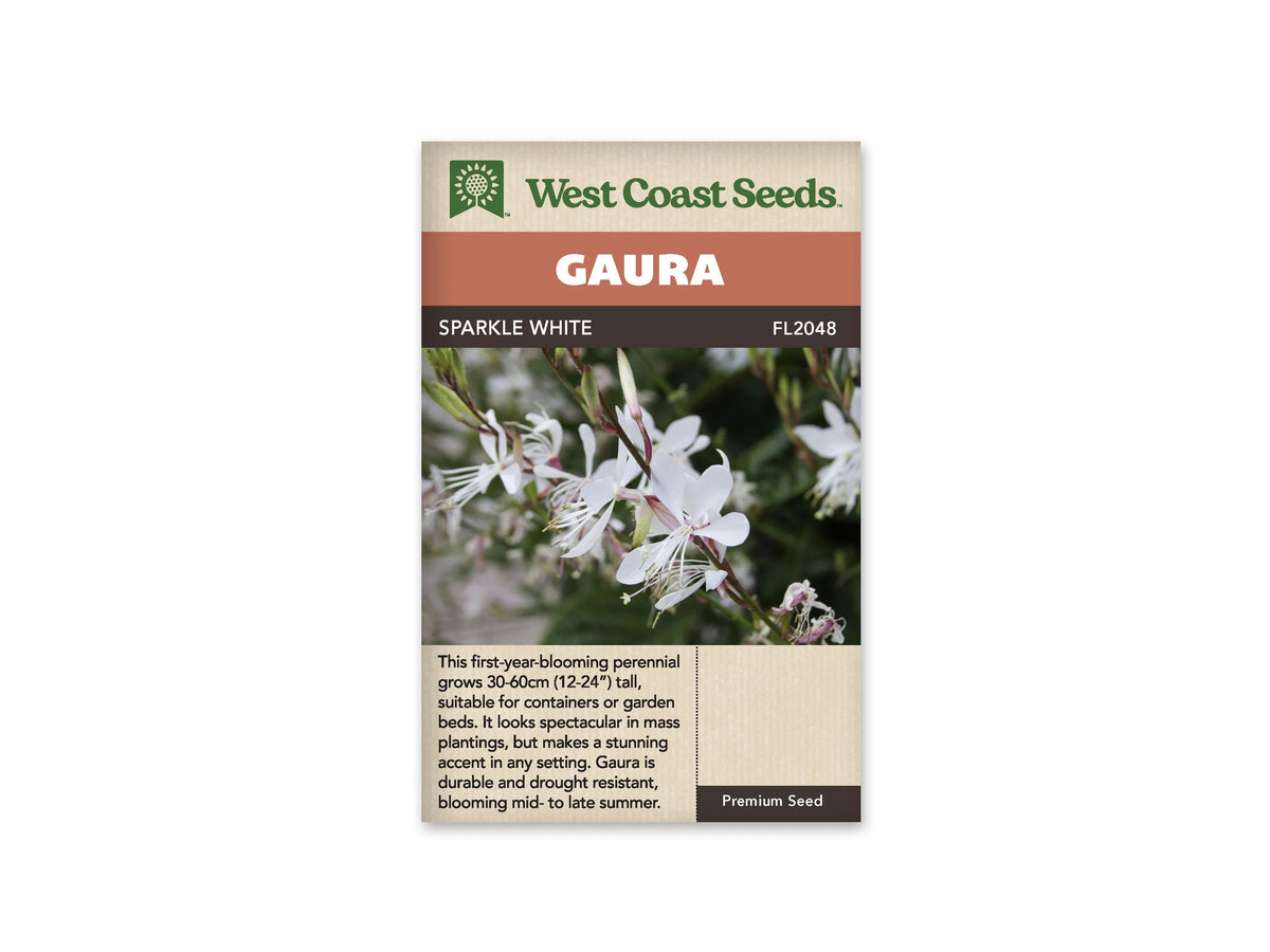 Sachet Sparkle White de West Coast Seeds sur fond blanc. La photo montre des fleurs blanches à quatre pétales et de longues étamines, portées par de fines tiges. Des boutons allongés teintés de rose se trouvent au-dessus des fleurs, devant un feuillage flou. Le bandeau orangé indique Gaura; la bande brune porte le nom et le code FL2048.
