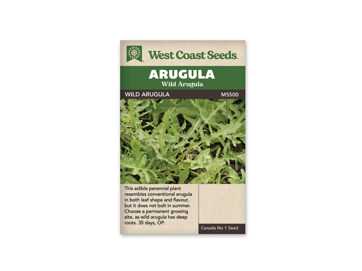 Sachet West Coast Seeds de roquette sauvage, présenté de face sur fond blanc. Les mentions Arugula et Wild Arugula apparaissent dans le bandeau vert, au-dessus de la référence MS500. La photographie montre un ensemble de feuilles vertes étroites et profondément découpées, avec des tiges visibles entre elles. La partie beige inférieure contient une description et des renseignements de culture imprimés en anglais.