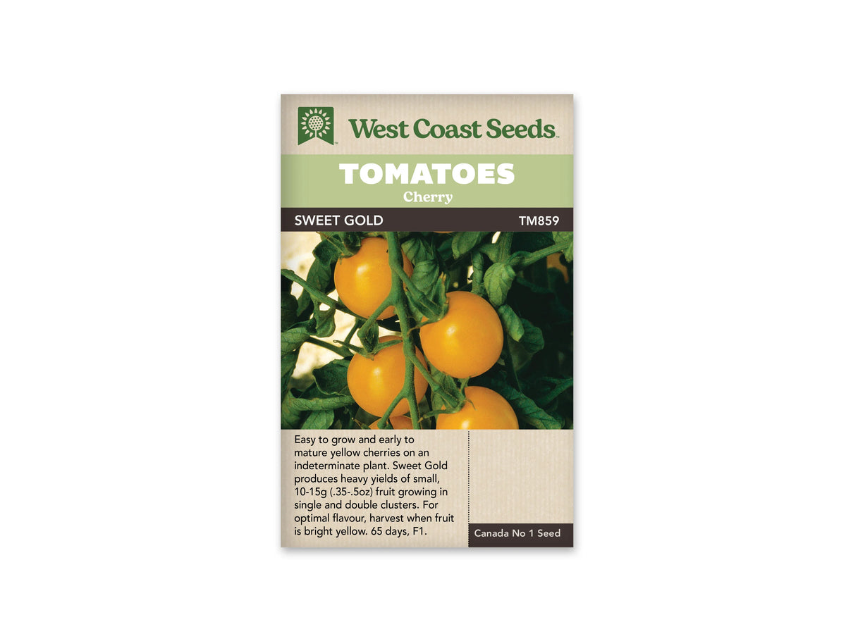 Sachet West Coast Seeds avec les mentions Tomatoes, Cherry et Sweet Gold. La photo montre plusieurs tomates rondes jaune vif encore attachées à leurs tiges, parmi des feuilles vertes. Le nom Sweet Gold et la référence TM859 apparaissent sur une bande foncée. Le logo vert de la marque est placé au sommet du sachet.