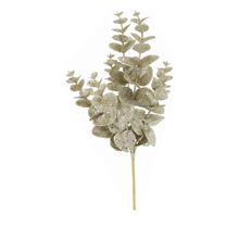 Tige d’eucalyptus scintillante à feuillage dense – Champagne
