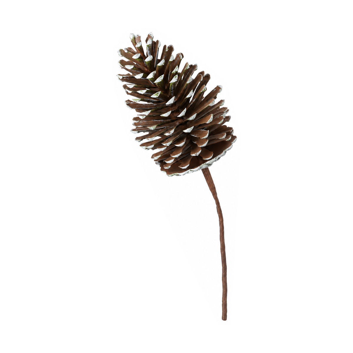Tige décorative de pommes de pin – Naturel et brun