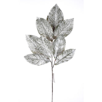 Tige de feuilles de magnolia enneigées