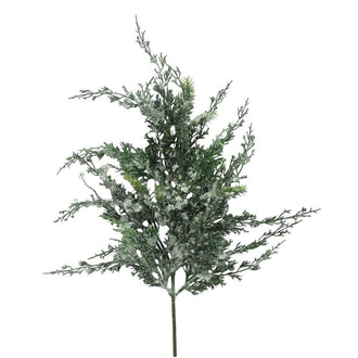 Tige de cèdre à rameaux enneigés – Vert et blanc