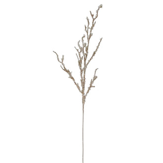 Branche de cristal – Champagne