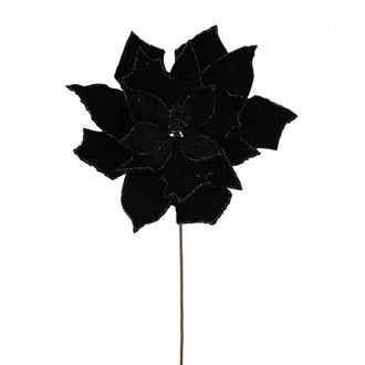 Tige de poinsettia – Noir