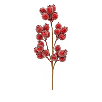 Tige de baies – Rouge