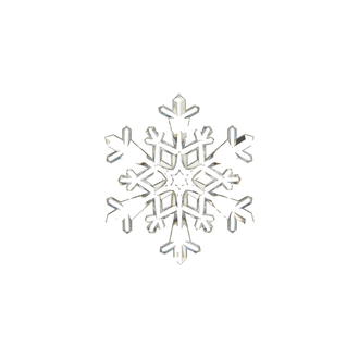 Ornement flocon de neige transparent – Branches ramifiées