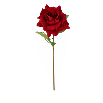 Tige de rose naturelle