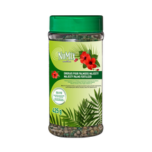 Majesty Palm Fertilizer 12-2-12