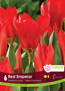 Tulipe Red Emperor ( Tulipa ) : des tulipes rouges ouvertes au-dessus du feuillage vert. Le visuel Florissa présente la plante et son nom dans la partie inférieure de l’étiquette. La photographie occupe presque toute la surface, tandis que le bandeau du bas rassemble les indications du produit. Cette vue permet de reconnaître son apparence et de distinguer la variété présentée.