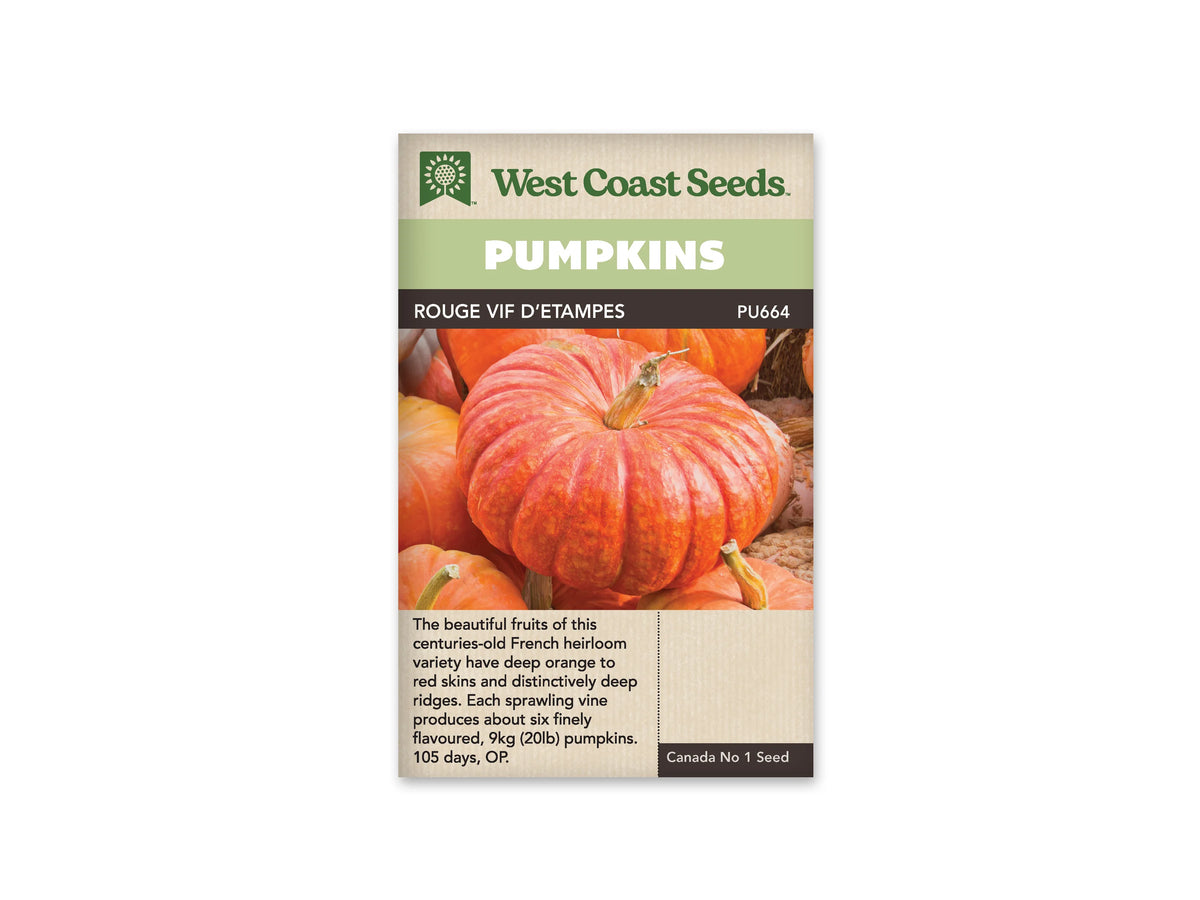 Sachet Rouge Vif d’Étampes de West Coast Seeds avec un bandeau vert pâle et le nom sur fond brun. Une grosse citrouille aplatie, rouge orangé et profondément côtelée, domine la photo. D’autres fruits orange l’entourent. Le pédoncule central est beige et incliné. Le bas du sachet présente du texte sur une zone beige.
