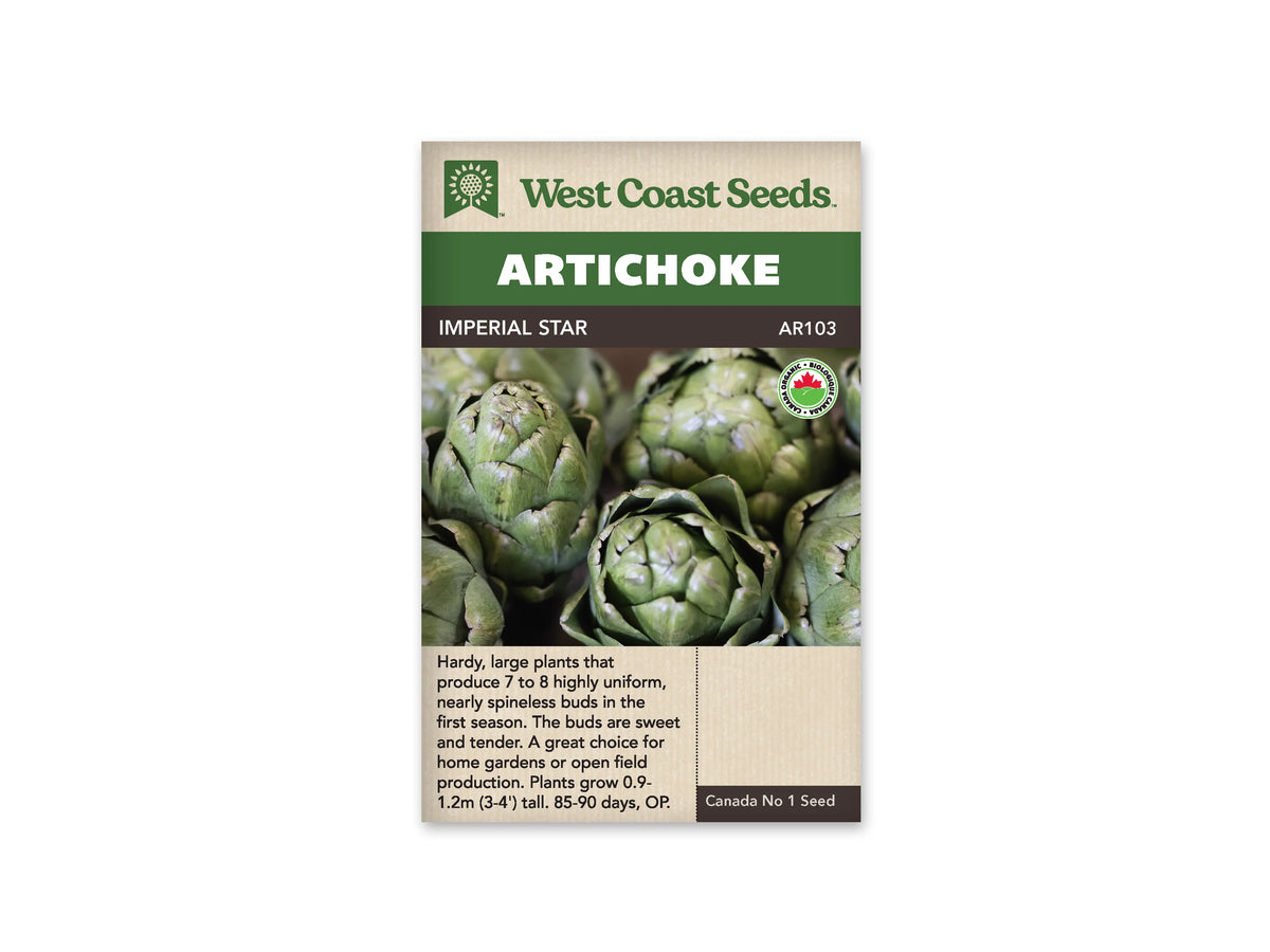 Sachet de semences d’artichaut Imperial Star de West Coast Seeds, présenté de face sur fond blanc. Un bandeau vert porte le nom anglais du légume, au-dessus de la référence AR103. La photographie centrale montre plusieurs boutons d’artichauts verts aux bractées serrées. Un symbole biologique canadien apparaît à droite. Des renseignements de culture en anglais occupent le bas de l’emballage beige.