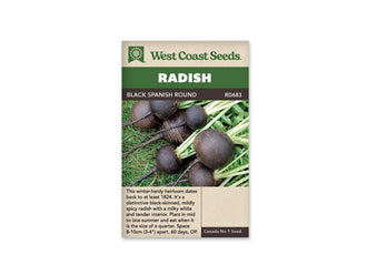 Sachet West Coast Seeds Black Spanish Round illustré de radis ronds à peau très foncée posés sur de l’herbe. Leurs racines fines s’étirent vers la gauche, tandis que les tiges pâles et les feuilles vertes se regroupent à droite. Le nom de la variété est placé dans le bandeau brun au-dessus de la photo.