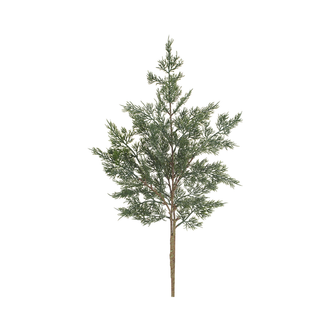 Tige de cèdre pailletée verte 34''