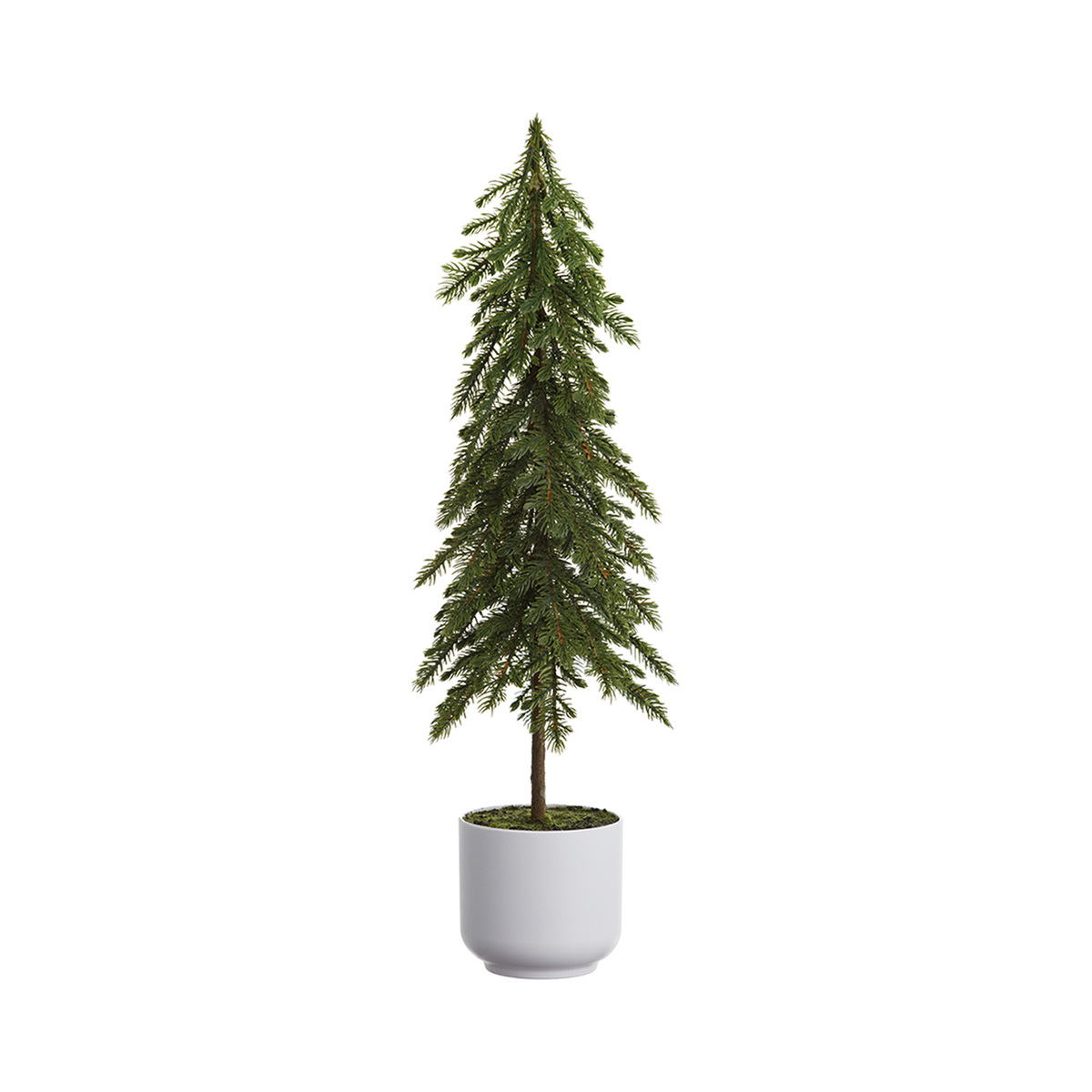Sapin en pot plastique naturel 23''
