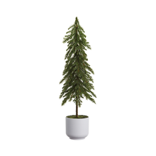 Sapin en pot plastique naturel 23''
