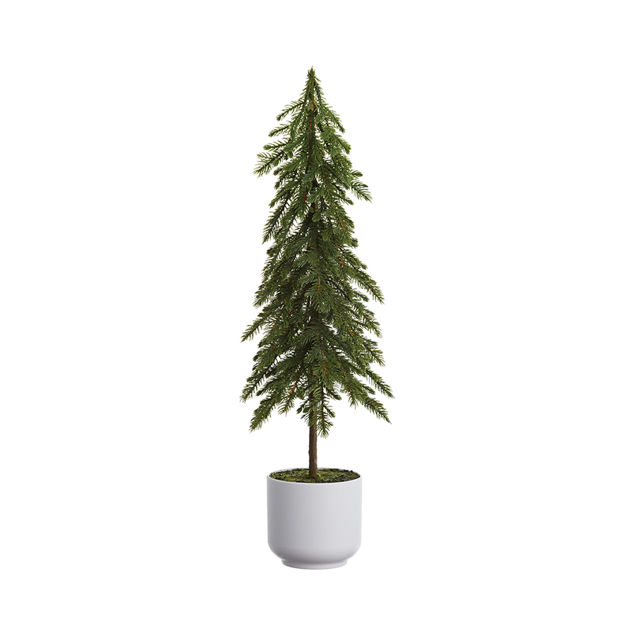 Sapin en pot plastique naturel 23''