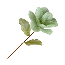Tige de magnolia bleu clair et vert clair 24''
