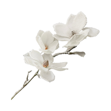 Tige de magnolia blanches 34''
