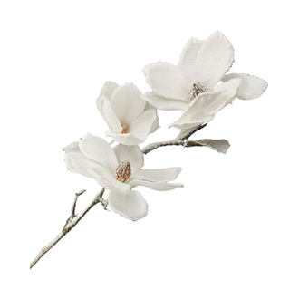 Tige de magnolia blanches 34''