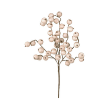 Tige de pommettes grèges 12"