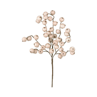Tige de pommettes grèges 12"