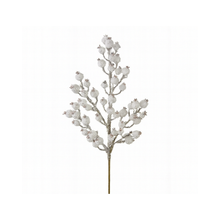 Tige de pommetier 25" blanc