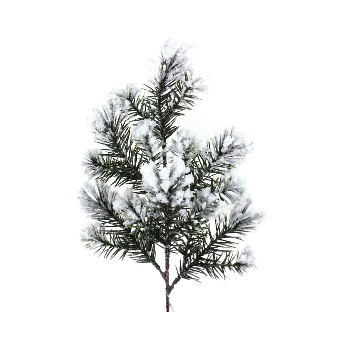 Branche pin avec neige