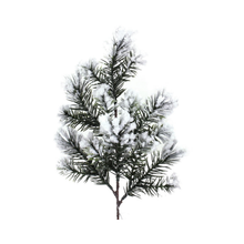 Branche pin avec neige