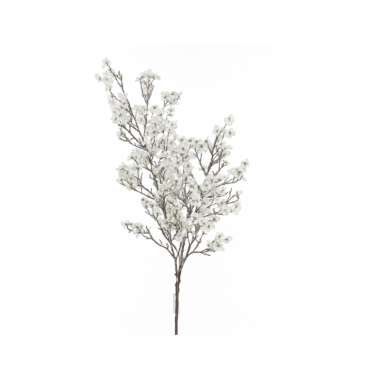 Tige de feuillage avec mini-fleurs blanches 32"